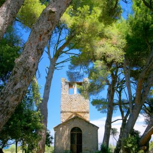 cyprés et chapelle
